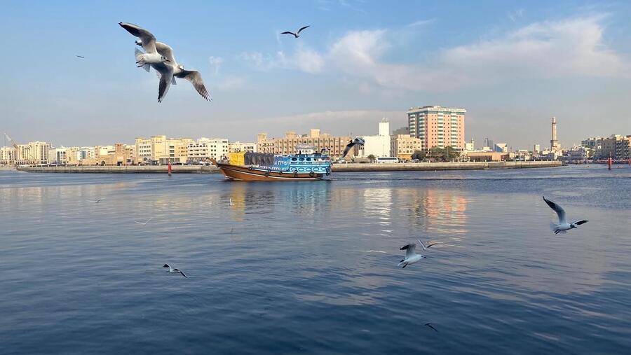 "دبي للثقافة" و"السركال" تطلقان تكليفات "لمة | معاً" الفنية