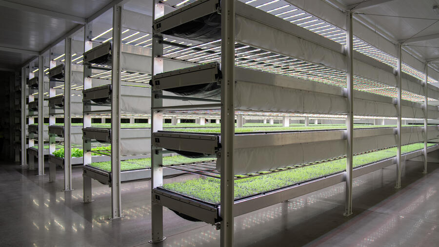 مجمّع التكنولوجيا الزراعية التابع لـ "القابضة" (ADQ) يبدأ رحلته نحو الزراعة المستدامة  