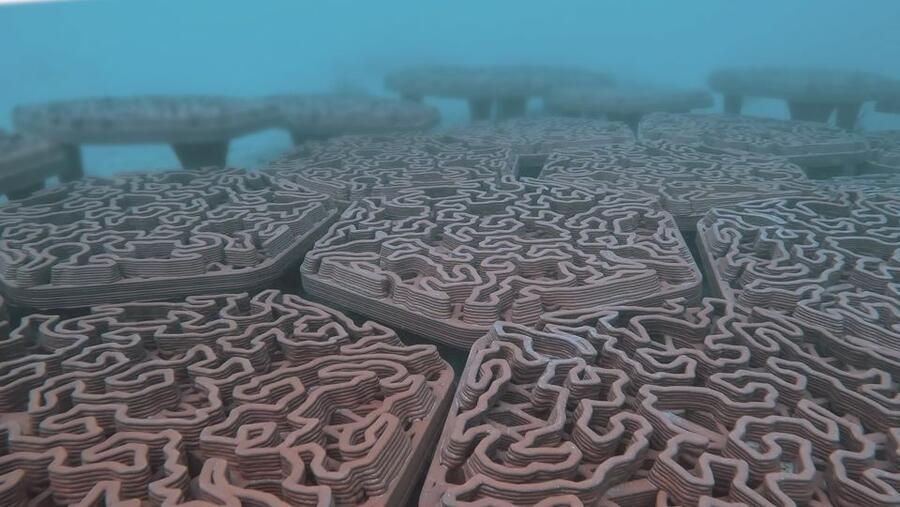 "القابضة" (ADQ) وهيئة البيئة - أبو ظبي و"أرشيريف" تنجحان بنشر حلول مبتكرة لاستعادة التنوع البيولوجي البحري قبالة سواحل إمارة أبوظبي