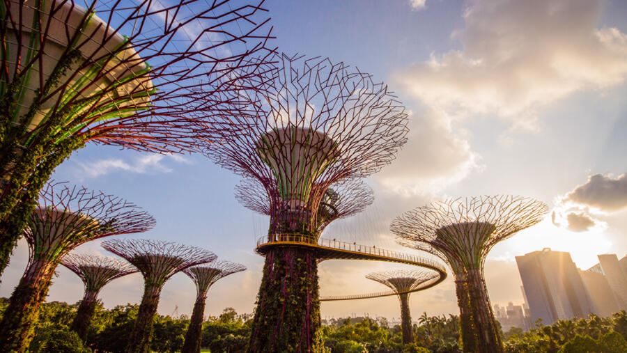 المدينة بانتظاركم: انطلق في مغامرة حضرية ملحمية مع فورسيزونز