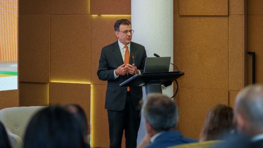 Google تدعم التقدم العلمي في الذكاء الاصطناعي وابتكار حلول للاستدامة في الإمارات