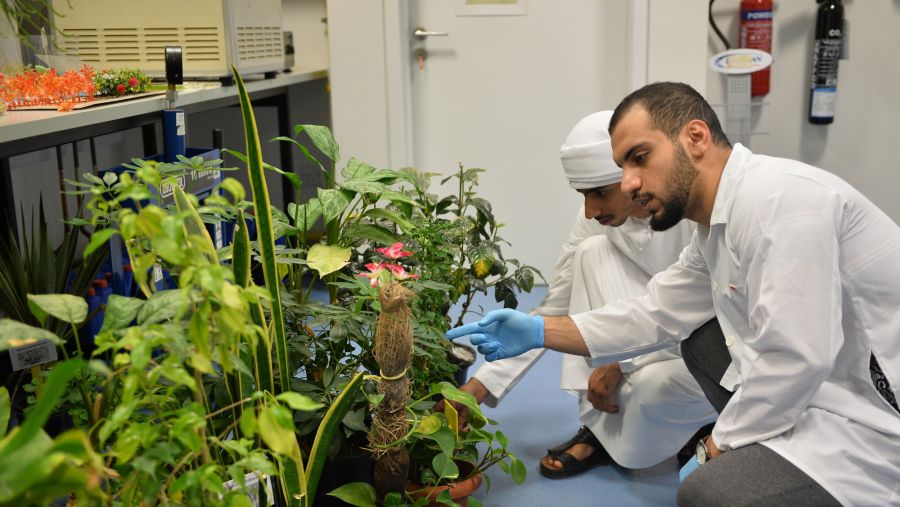 ضمن أجندة الاستدامة 2023 وإبرازاً للجهود الوطنية قبل كوب 28: جامعة الإمارات تموّل 7 مشاريع بحثية عن التغير المناخي