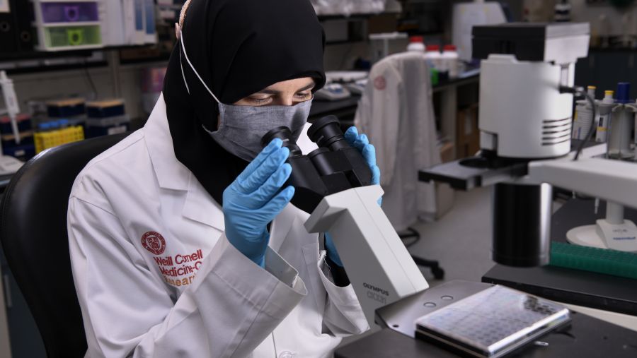 باحثة من وايل كورنيل للطب - قطر تفوز بجائزة بول دودلي وايت للباحثين الدوليين من جمعية القلب الأميركية