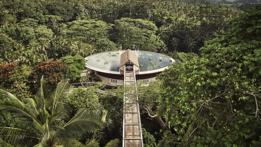 الكشف عن مسار الرحلات الأولى لطائرات فورسيزونز الخاصة لعام 2025