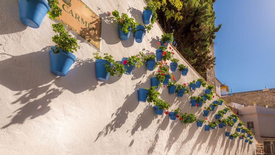 دناتا للسفريات تتعاون مع "تورسبانا" لتلبية الطلب على السفر