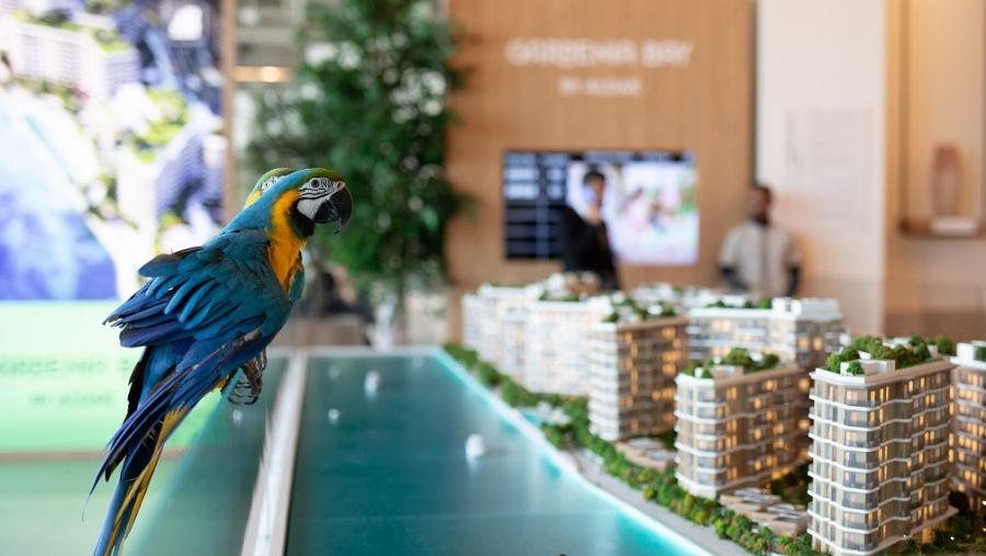 الدار العقارية تبيع المرحلة الأولى من مشروع "غاردينيا باي" خلال 24 ساعة