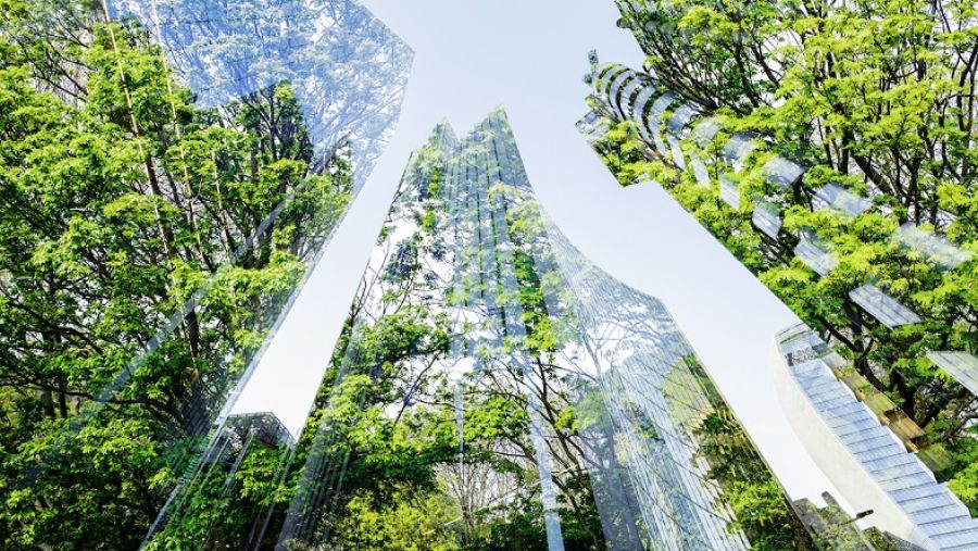 التحوّل الرقمي والكهربي سيخفّضان انبعاثات المباني المكتبية حتى 70% بحسب أحدث تقرير لـ "شنايدر إلكتريك"