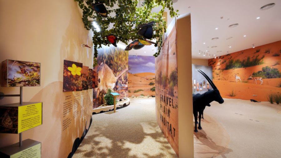 افتتاح مركز جديد للزوار في محمية دبي الصحراوية