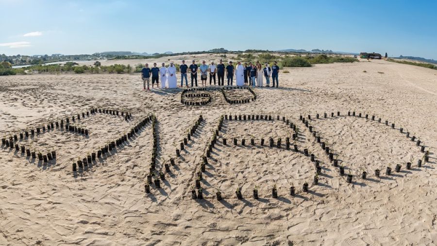 اللجنة التنفيذية لمجموعة بنك الإمارات دبي الوطني تحتفي بالذكرى السنوية الستين لتأسيس البنك بزراعة غابة من أشجار القرم