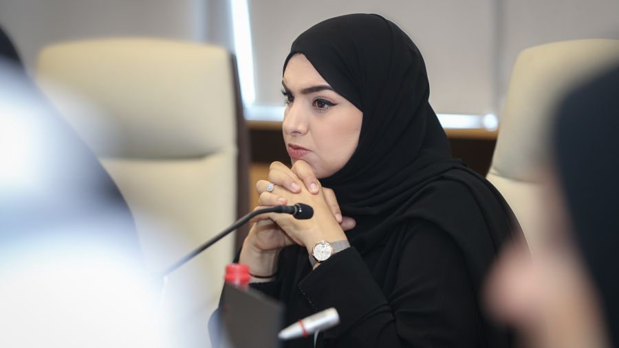 UAE Council for Climate Action Discusses National Efforts to Elevate Climate Ambition for COP29 and Explores Strategies to Amplify Climate Action Locally and Globally