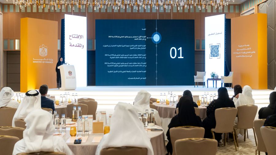 وزارة المالية الإمارات العربية المتحدة 