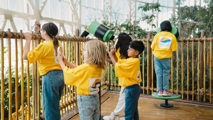 "سي وورلد جزيرة ياس، أبوظبي" تستضيف مخيماً صيفياً ترفيهياً  لعشاق عالم البحار والمحيطات