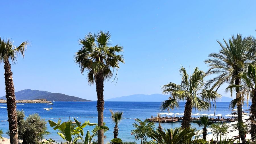 دناتا للسفريات: نمو الطلب على حجوزات اللحظات الأخيرة بين المسافرين من دولة الإمارات