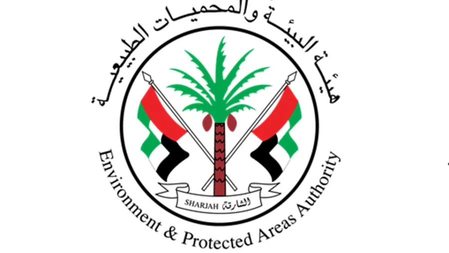 "بيئة ومحميات الشارقة" تستعد لتنظيم مؤتمرًا محوريًا لتطوير استراتيجية الحفاظ على النمر العربي المهدد بالانقراض