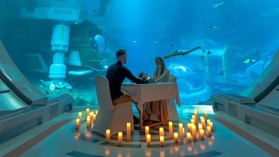 سي وورلد جزيرة ياس، أبوظبي تستقبل زوارها بتجربة عشاء استثنائية في عيد الحب