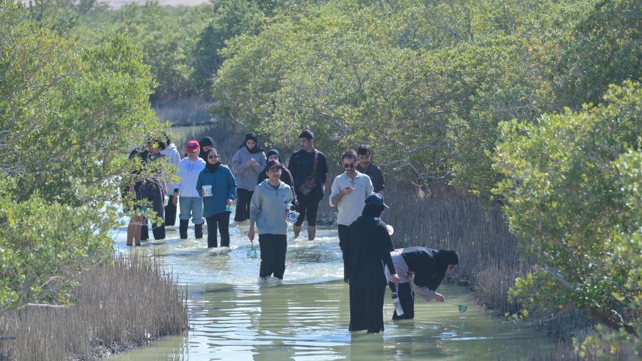 طلاب وايل كورنيل للطب - قطر يستكشفون التنوع البيولوجي في الجزيرة الأرجوانية