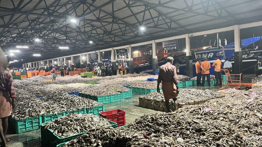 طلاب جامعة جورجتاون بفرعيها في واشنطن والدوحة يتشاركان الأبحاث الميدانية متعددة التخصصات في الهند