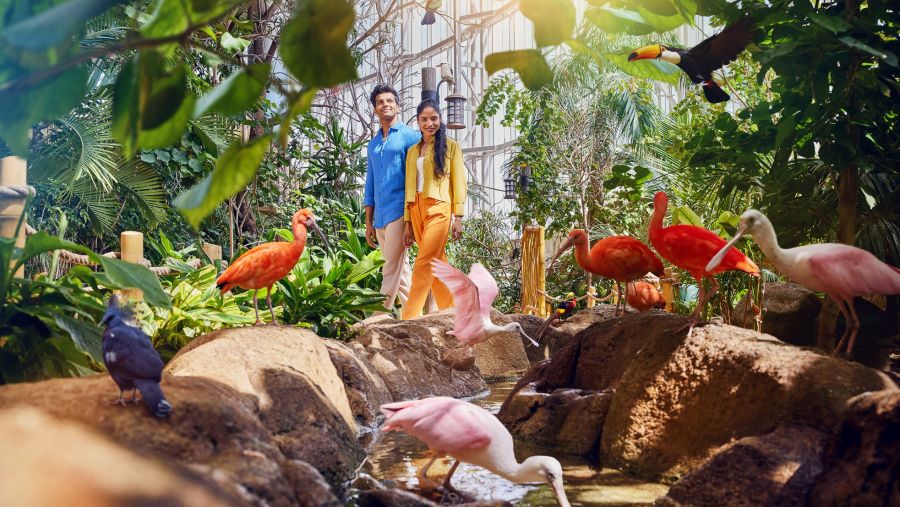 احتفالية "براعم البحر" في "سي وورلد أبوظبي" تمنح الضيوف تجارب تفاعلية فريدة تمزج بين الترفيه والمعرفة