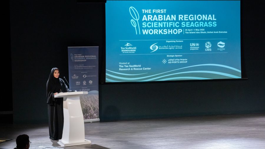 "مركز ياس سي وورلد للبحوث والإنقاذ" و "هيئة البيئة-أبوظبي" ينظمان ورشة علمية متخصصة لاستكشاف دور الأعشاب البحرية في استدامة النظم البيئة البحرية