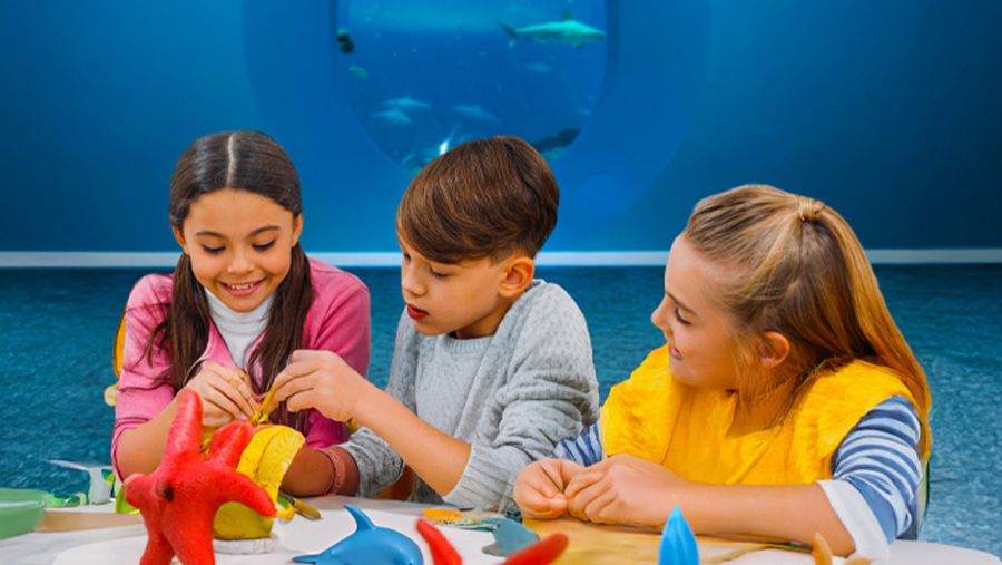 جزيرة ياس تستضيف برنامجاً صيفياً للأطفال يجمع بين المغامرات والتعلم في مدنها الترفيهية المختلفة