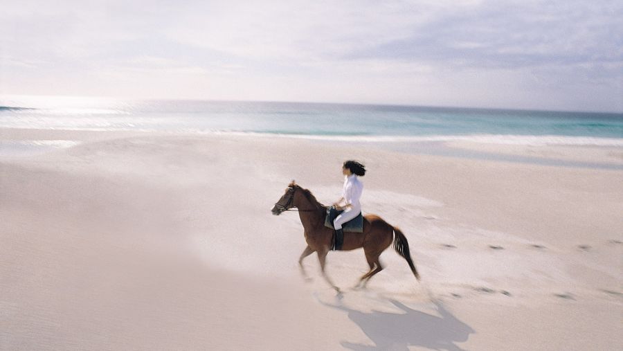 فنادق شذا تستكشف فرصًا جديدة مع خطط استراتيجية للنمو