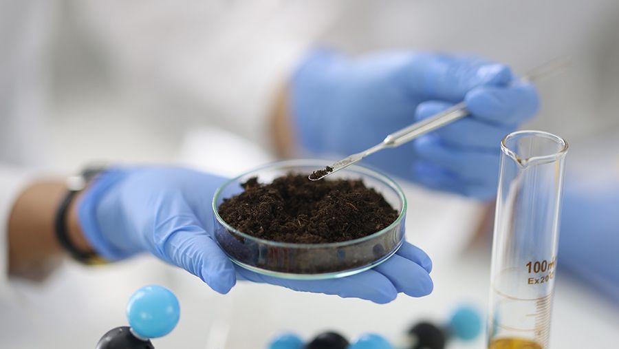 الزراعة في وجه المستحيل: علم الأحياء الدقيقة يبعث الأمل في أراضٍ قاحلة