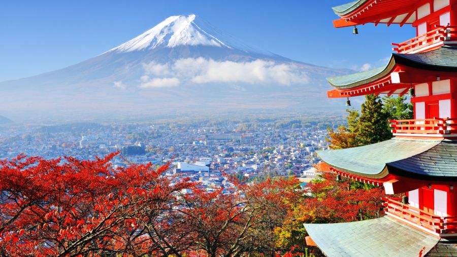 ما هي أفضل الأماكن السياحية في اليابان؟