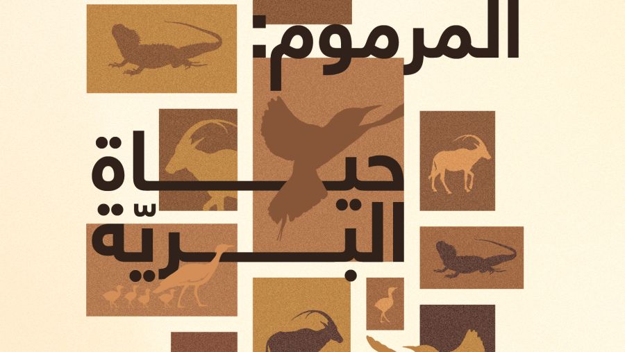 ‘Al Marmoom: The Living Wild’ Exhibition Celebrates Al Marmoom's Natural Wonders