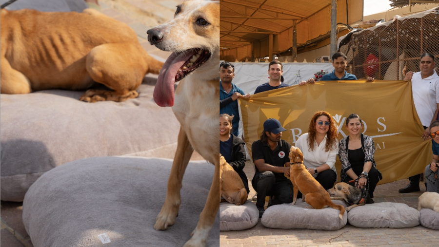 Rixos Premium Dubai Marks the New Year with a Heartfelt Visit to Umm Al Quwain’s Stray Dog Center