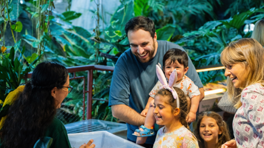 ذا جرين بلانيت دبي تقدّم فعالية في عيد الفصح مستوحاة من الطبيعة لجميع أفراد العائلة