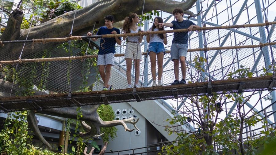 ذا جرين بلانيت دبي تطفئ أنوارها في ساعة الأرض دعماً لجهود حماية البيئة