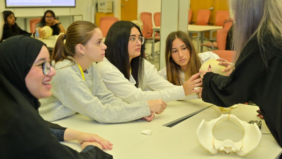 High school students explore careers in medicine at WCM-Q