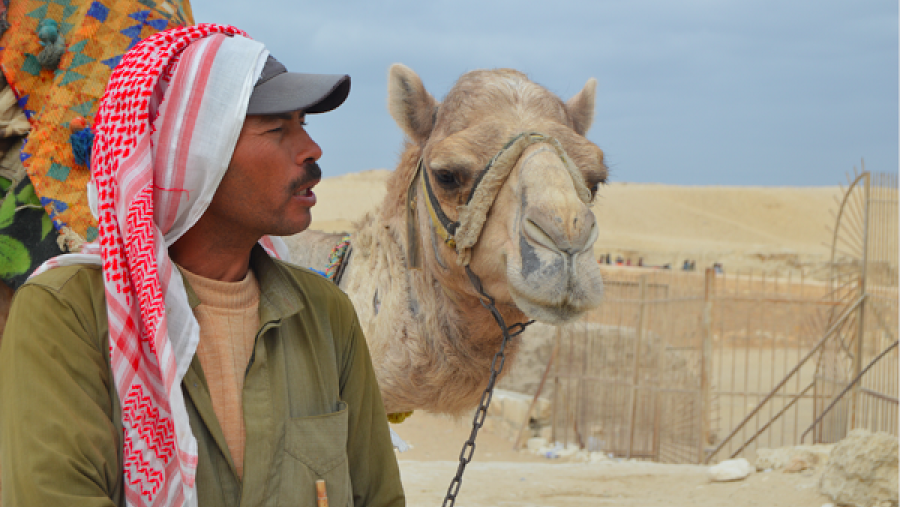 الحكاية الأولى لهذا الأسبوع من مصر ويقصها علينا المُتسابق أحمد بعدسته حيث يُسلط الضوء على مهنة مُربي الإبل في منطقة الجيزة بالقُرب من الأهرامات.