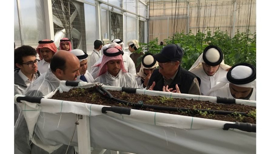 الطلاب يتعرفون من خلال برنامج الأمن الغذائي لحديقة القرآن النباتية على مبادئ الزراعة.