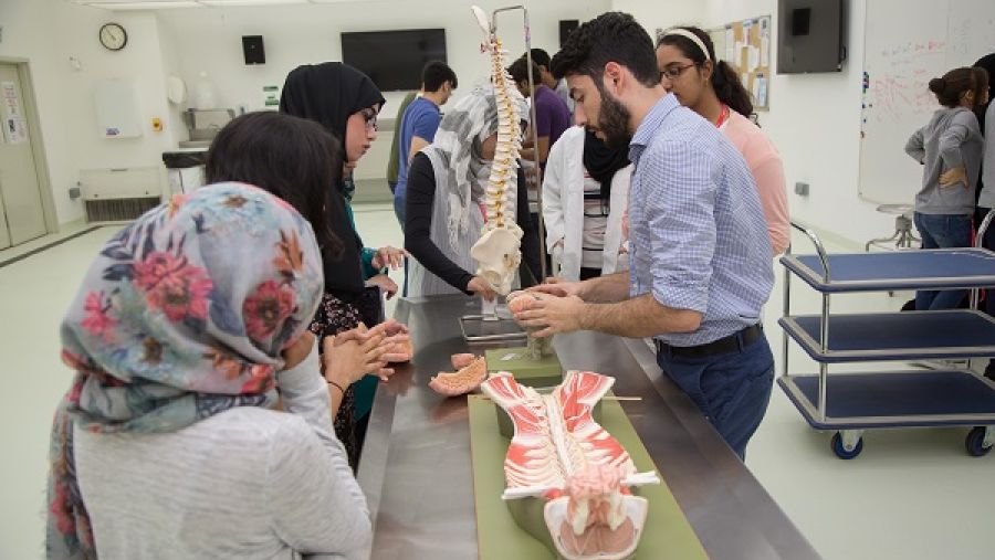 المشاركون في إحدى الجلسات التدريبية