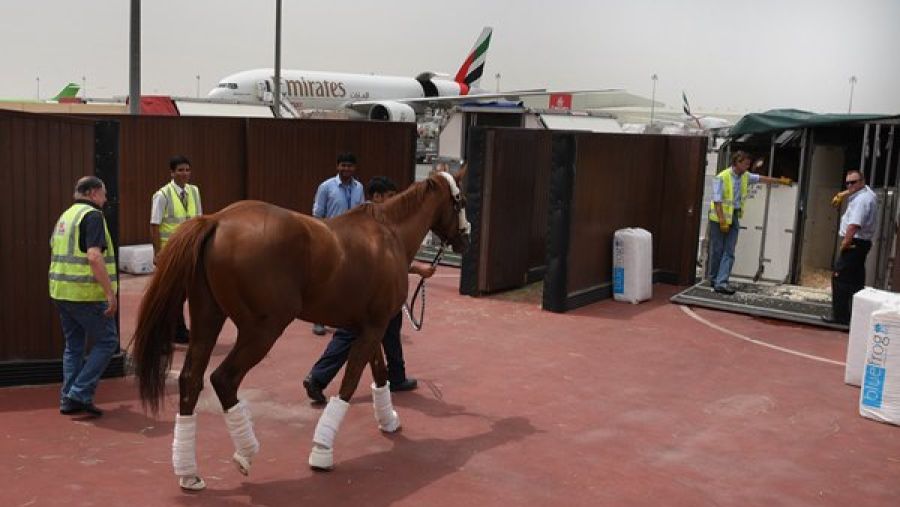 طيران الإمارات