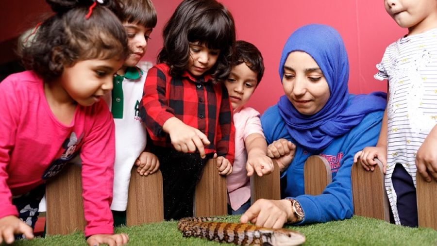 أطلقت حديقة الإمارات للحيوانات وسائل جديدة للتعلم عن الحياة البرية، حيث ستعمل على جلب الفصول الدراسية إلى رحاب البرية.