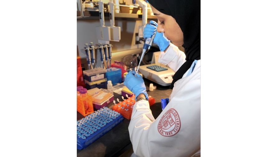 إحدى الباحثات في مختبرات وايل كورنيل للطب – قطر