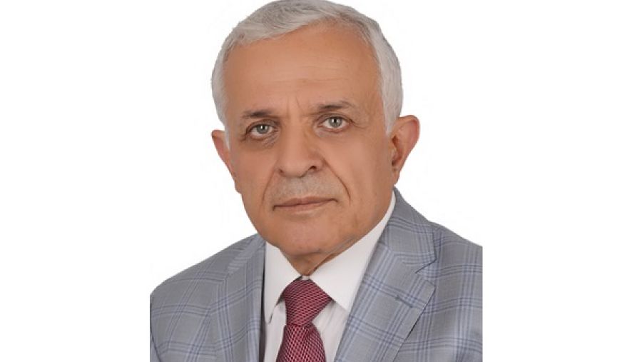 الدكتور رضوان السيد