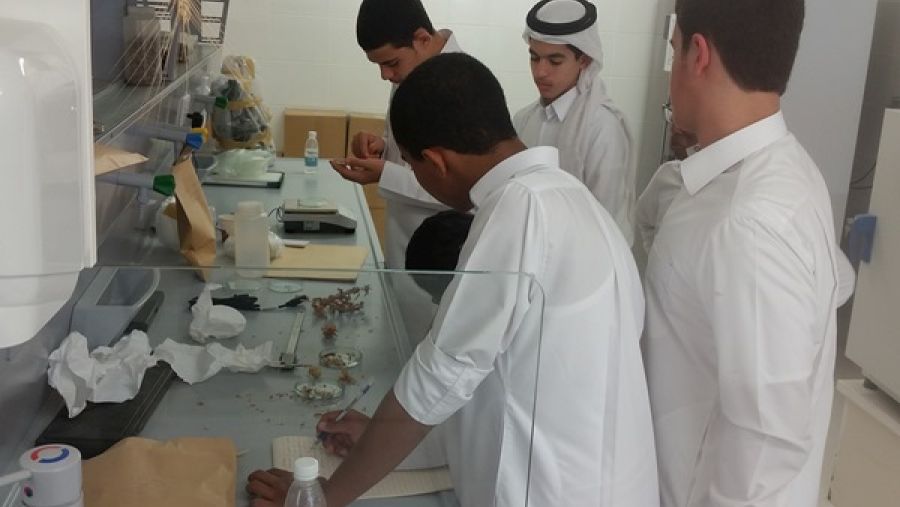 طلاب يُجرون تجارب معملية ضمن ورشة عمل نظمتها حديقة القرآن النباتية