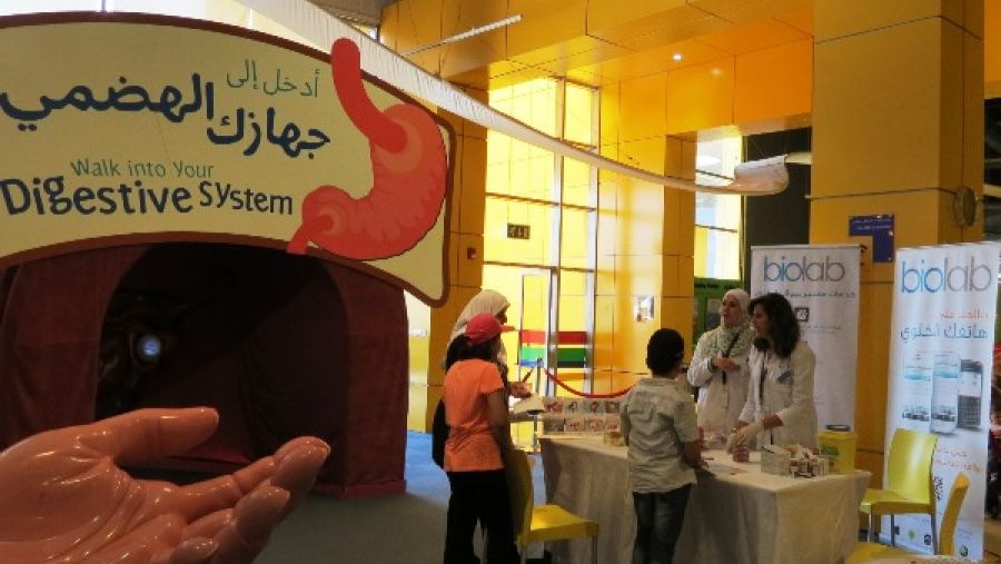 خلال المهرجان