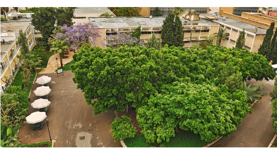 الجامعة الأميركية في بيروت