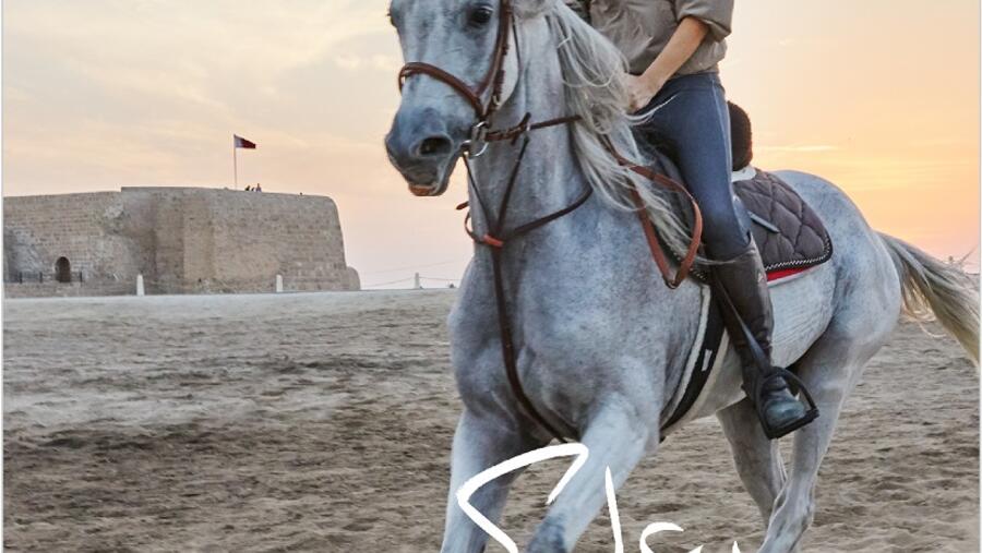 ضمن إطار التزامها بتعزيز قطاع السياحة هيئة البحرين للسياحة والمعارض تُدشن حملة #ولهنه_عليكم الجديدة