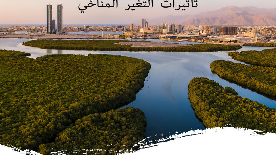 HSBC يلتزم بتمويل مشاريع إعادة تأهيل النظم البيئية الساحلية