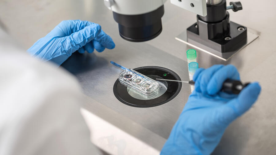 IVF in the MENA Region 