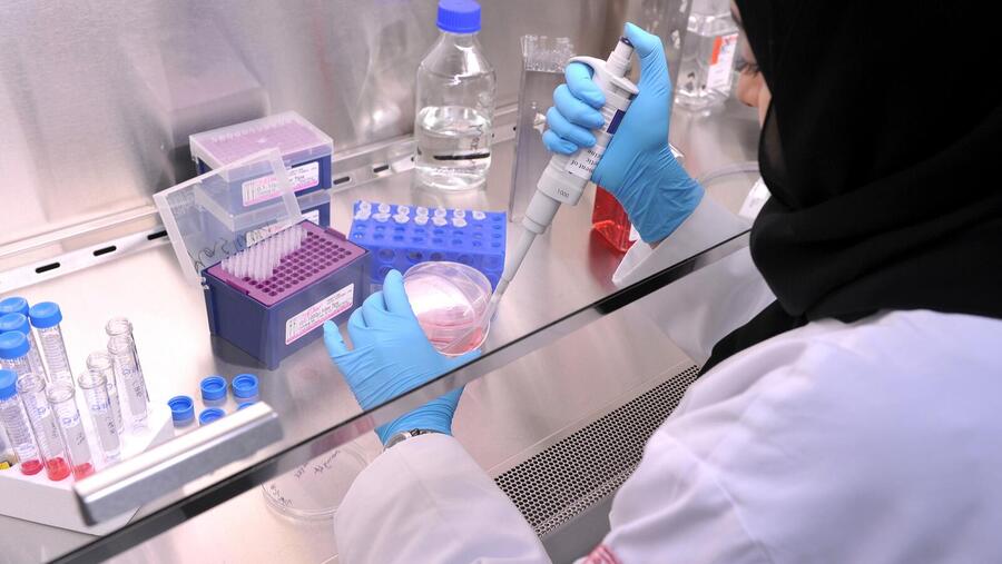 وايل كورنيل للطب – قطر تعلن عن فرص تدريبية في مجال البحوث العلمية 