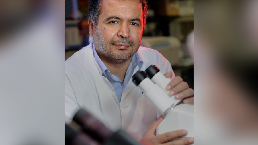 باحثون من وايل كورنيل للطب - قطر يستقصون بروتيناً رئيساً ويفسرون كيف تتسبّب السمنة بالسكري من النوع الثاني