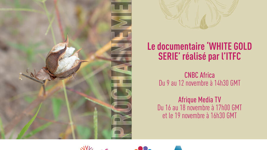 The International Islamic Trade Finance Corporation Launches Four-Part Documentary Series on West African Cotton Sector
