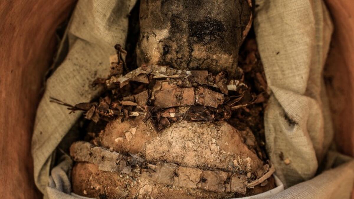 A sarcophagus, part of a new discovery carried out almost 300 meters south of King Amenemhat II’s pyramid at Dahshur necropolis, is exposed near the Bent Pyramid, about 40km (25 miles) south of the Egyptian capital Cairo, during an inaugural ceremony of the pyramid and its satellites, on July 13, 2019. Mohamed el-Shahed / AFP