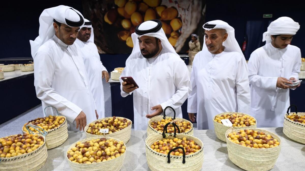 Emirati men check baskets of Dabas and Khalas dates during the annual Liwa Date Festival in the western region of Liwa on July 17, 2019. Karim SAHIB / AFP